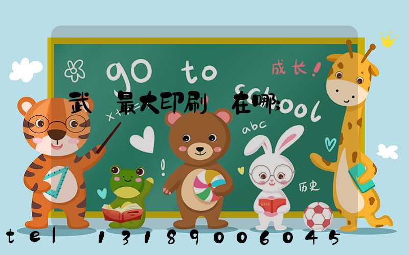 武漢最大印刷廠在哪